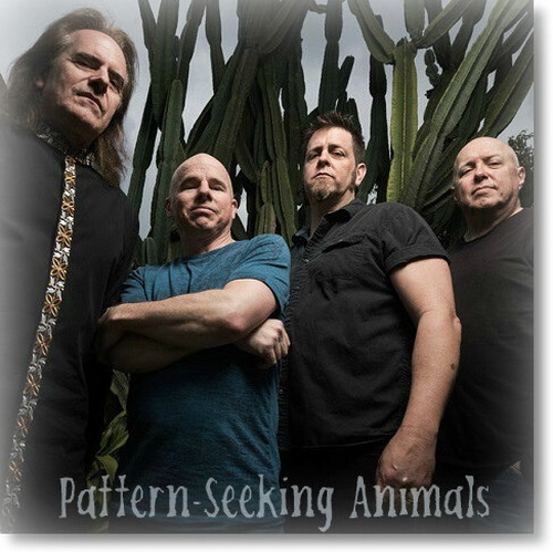 Pattern-Seeking Animals - 4 Albums (2023) [FLAC]
