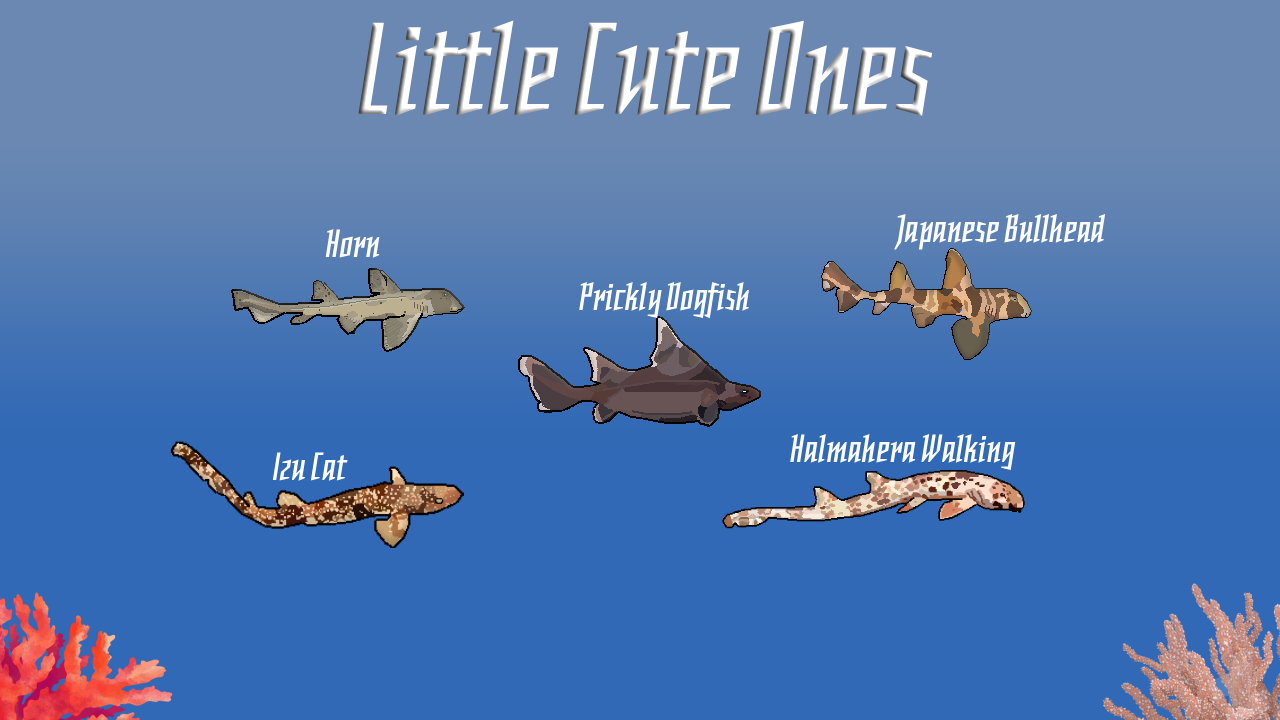 A preview of some sharks