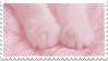 paws