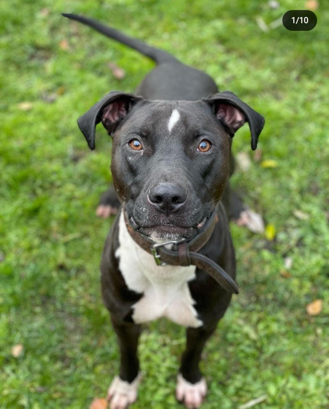 1A09C1C7-A03D-40DD-A12E-7C84A2499FAC