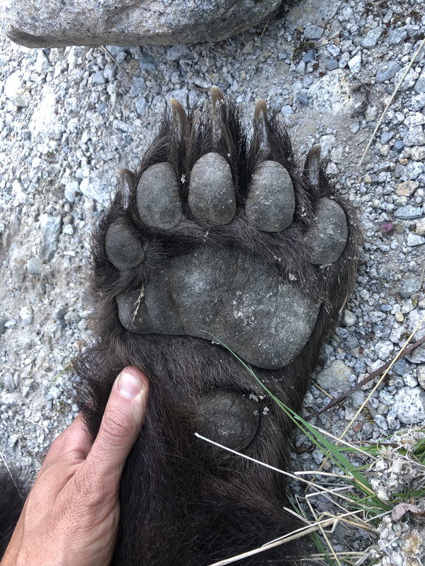 E708956E-0681-4AB6-A88D-F30DA8F780CE