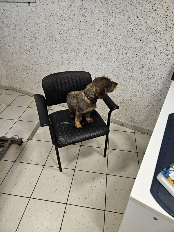 [Image: IMG-20231205-WA0001.jpg]