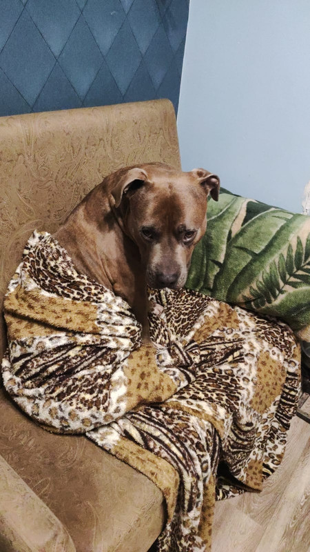 EC117102-38D7-447D-8C52-28FC1F291382