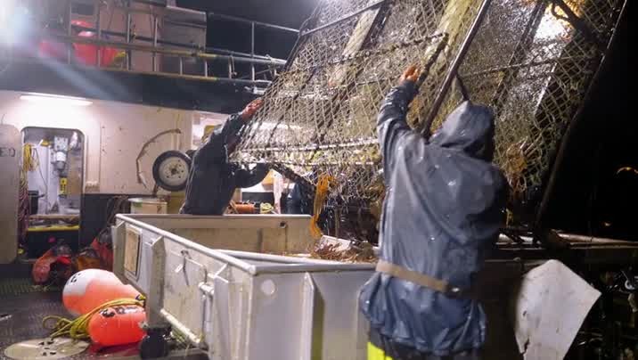 [Image: 0qkhome1h98e.jpg]