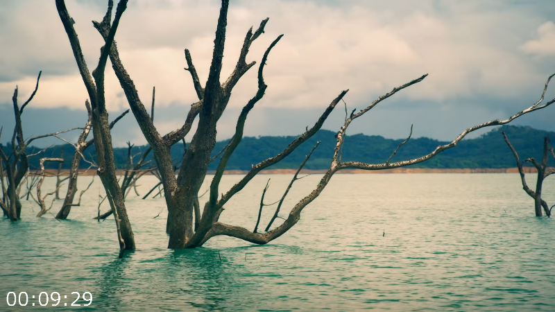 [Image: 9y3y5pzjipa8.png]