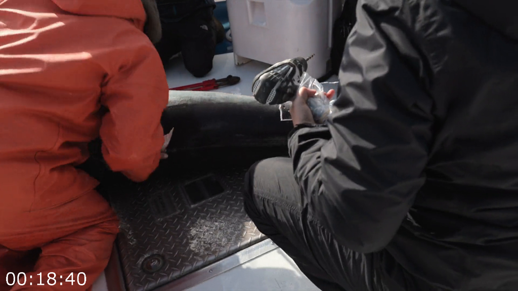 [Image: 2wu4s3lj9zvb.png]