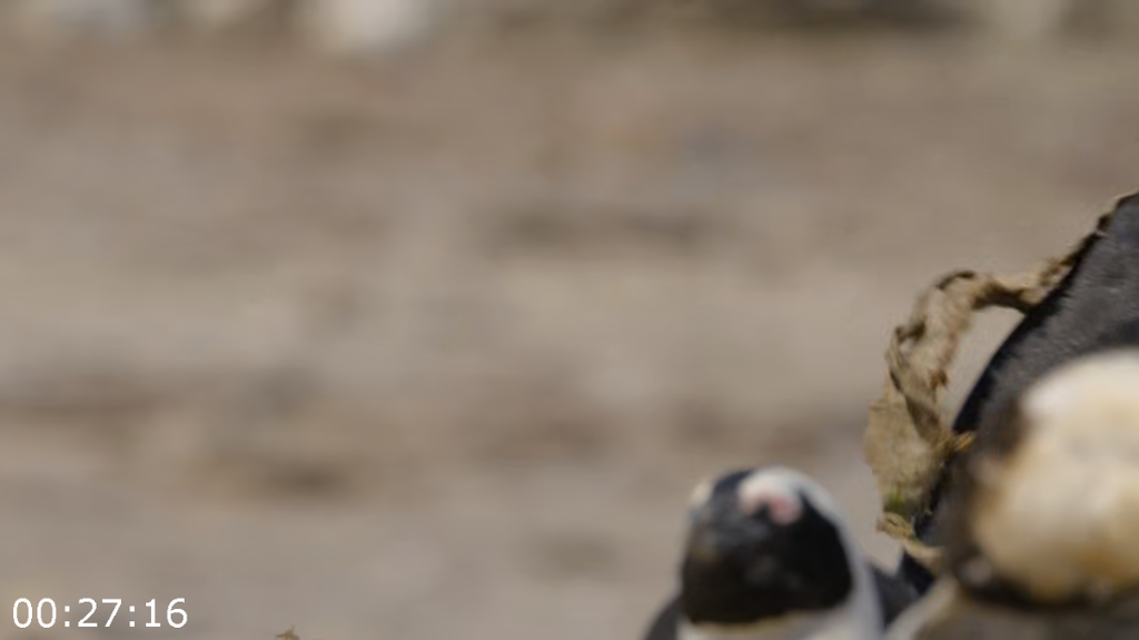 [Image: yxf3jijt4g85.png]