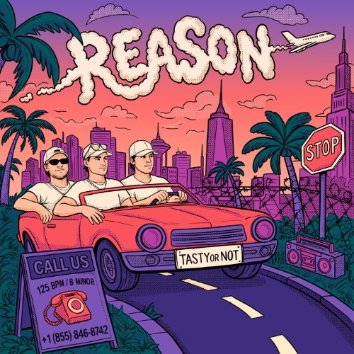 Tasty Or Not - Reason (Extended Mix) (2026) MP3