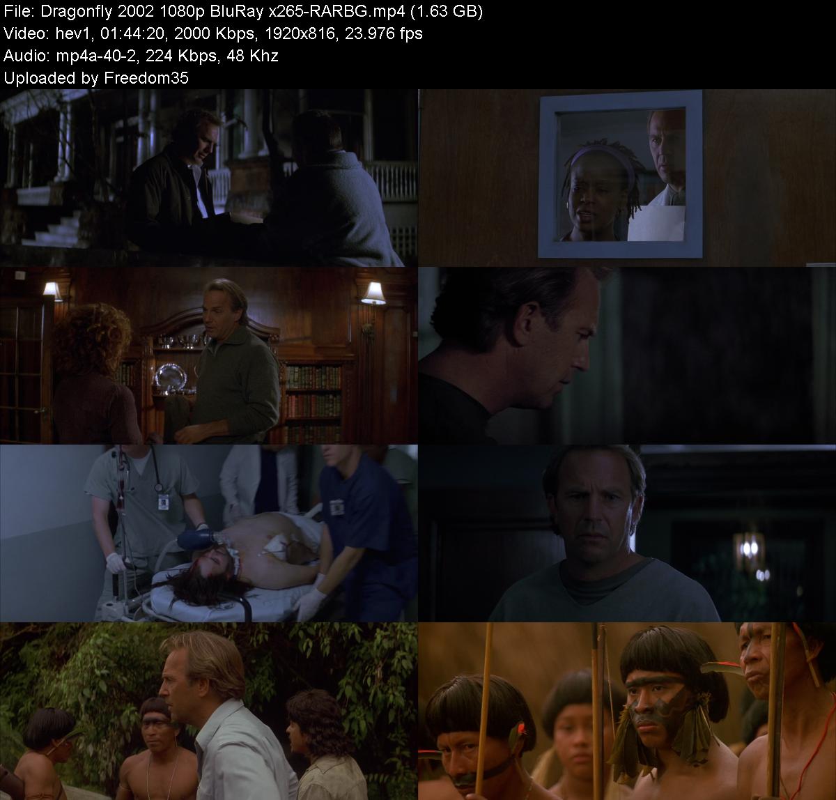 Dragonfly-2002-1080p-Blu-Ray-x265-RARBG.