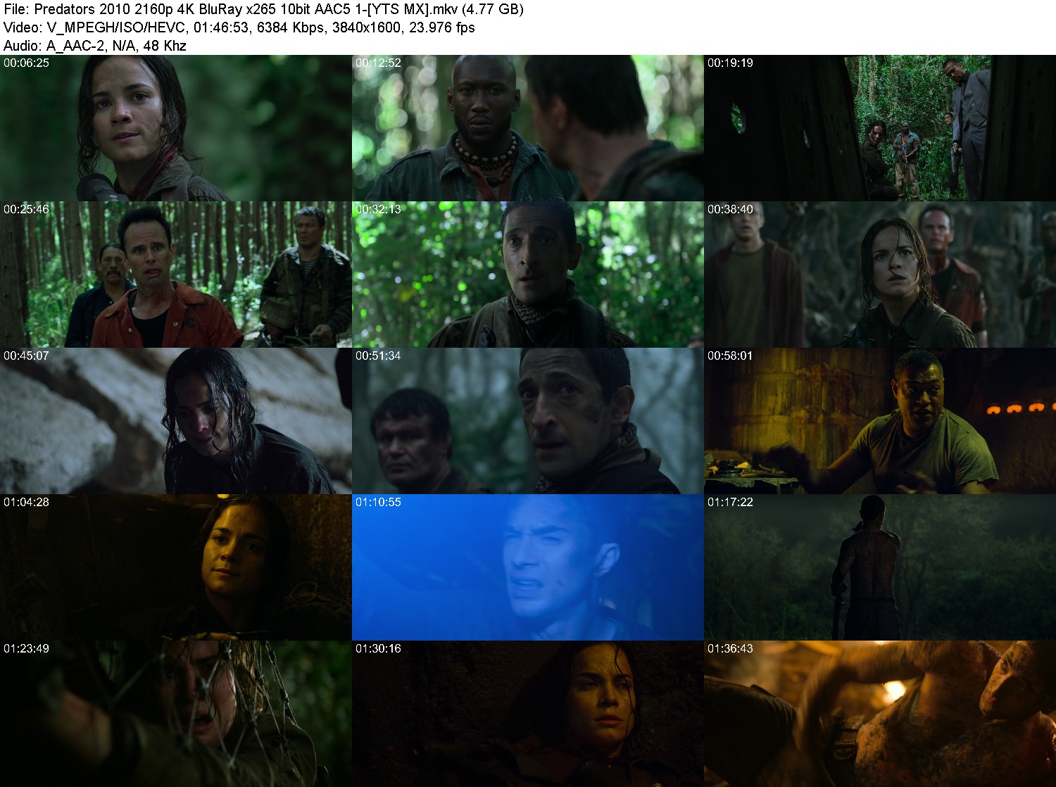 [Image: y0i22m9xqcvo.jpg]