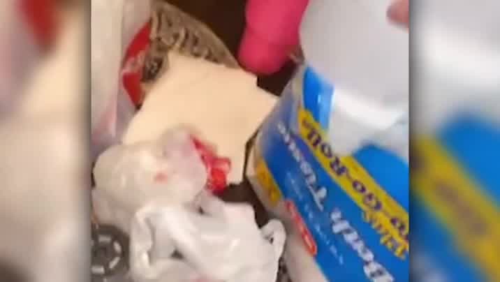 [Image: 5tj1iuqo0ve6.jpg]