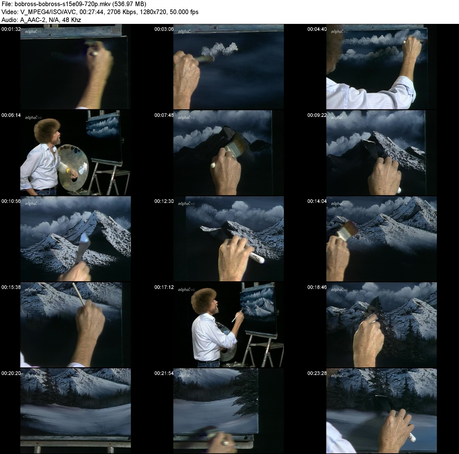 [Image: ldyb3733gboa.jpg]