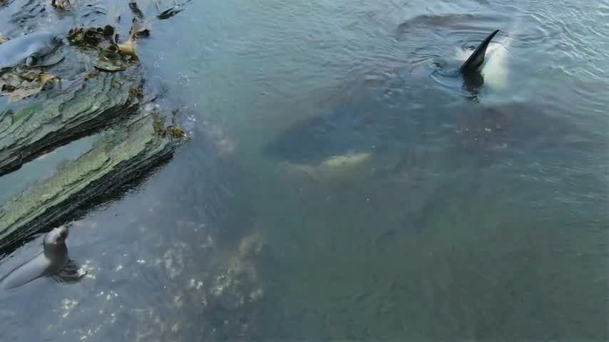 [Image: 0a30by4ihojw.jpg]