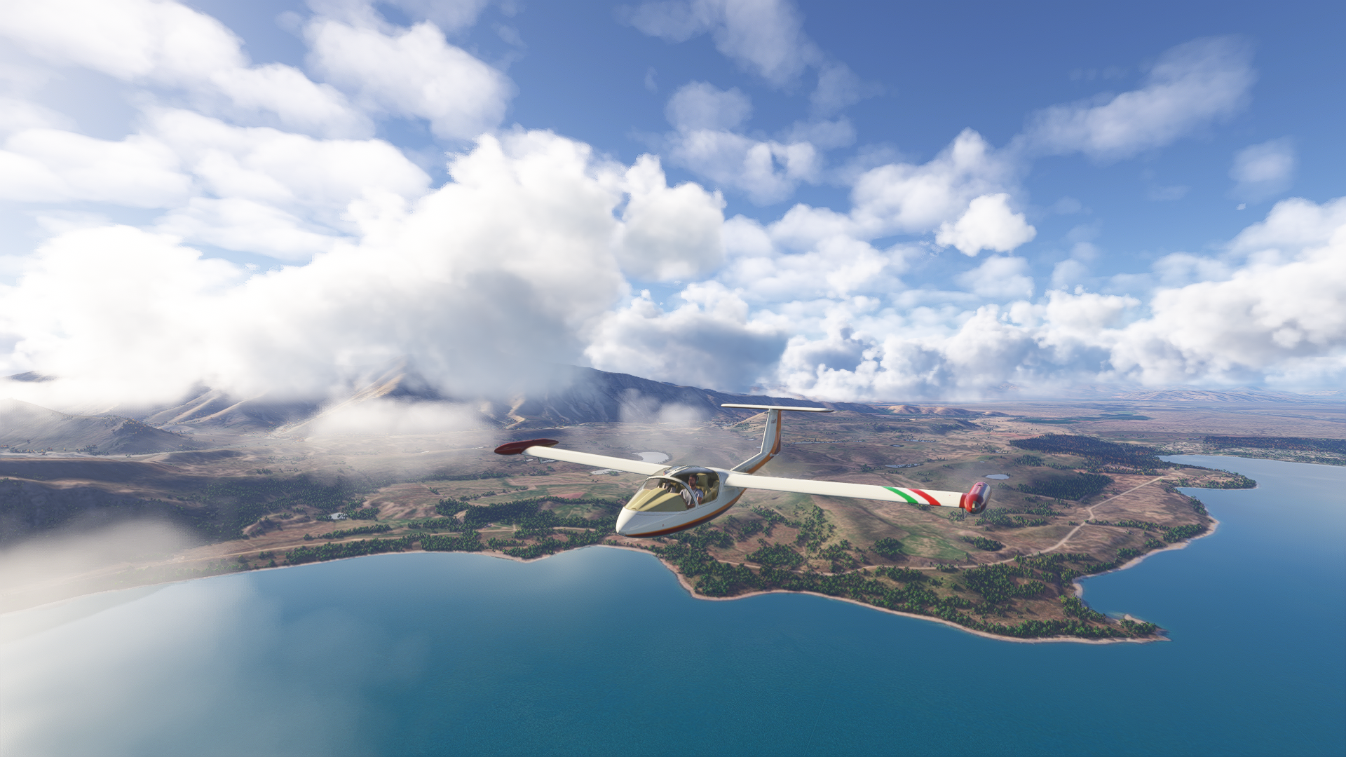Microsoft-Flight-Simulator-2024-2024-12-30-16-22-2.png