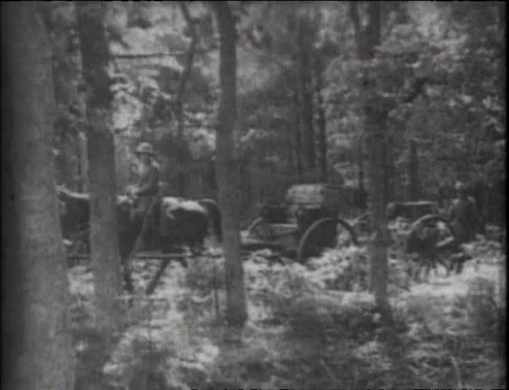 [Image: n40oxjsv7n9w.png]