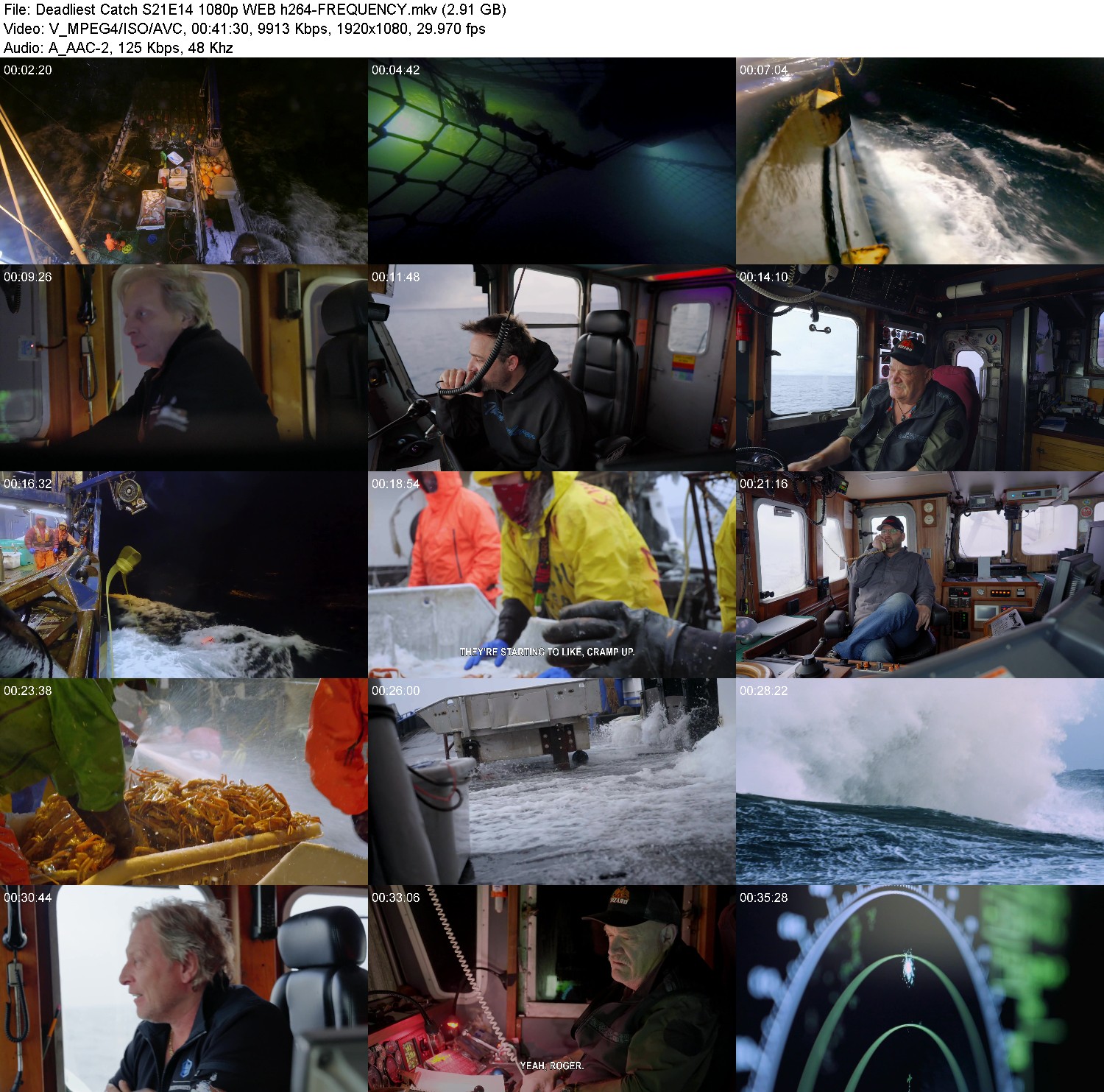 [Image: 8ucr2b16dgvi.jpg]