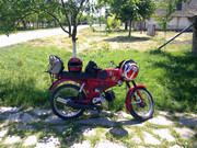 i.postimg.cc/2L3tjVc4/110520131269.jpg