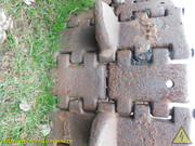 DSCN6973
