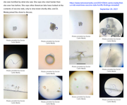 1413a49ba6328a39d4673b741bdd2bfa14a6e13c91da018d81dfbce6baac4be1