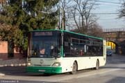 IMG-5135