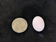 PXL_20230429_192023252