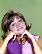 Sally-Field-c33