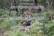 IMG-6305