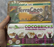 photo5242475564860813925