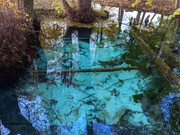 PXL_20211024_171010919