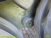 IMG-5445