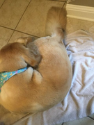 image_2023-02-02_230349768