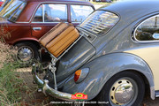 IMG-7181