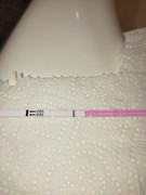 IMG-20221019-103945