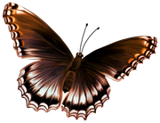 TADD_elements_Autumn_Fairy_Tales_22