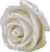 Sweet-Love-MM-Element-89
