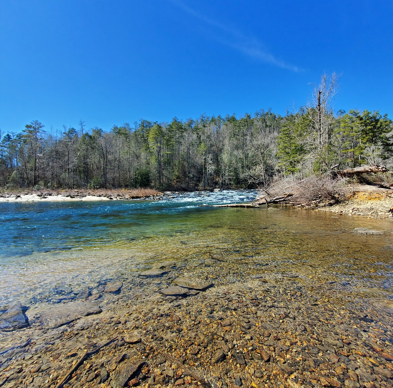 [Image: River20260208.jpg]