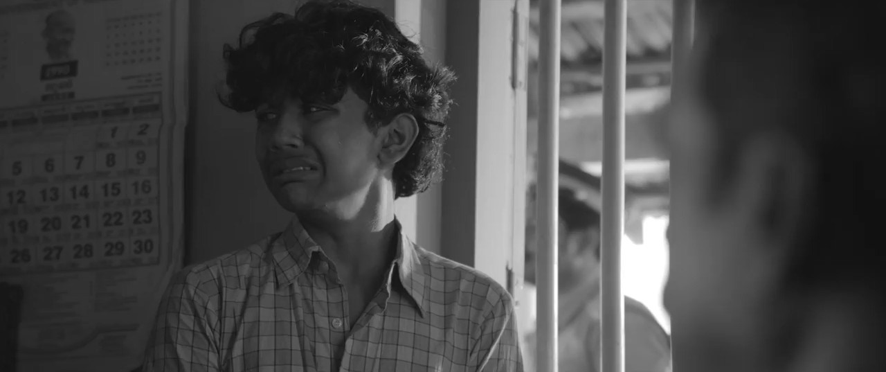 Pongala 2025 WebRip [Hindi + Malayalam] 480p 720p ESub Screenshot
