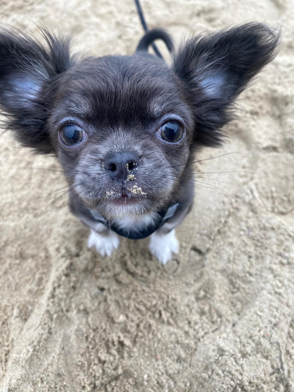 6F66B7B1-D74E-432C-BA1A-96A451B39967