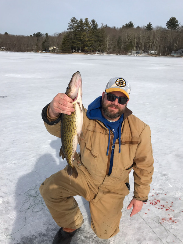 pickerel