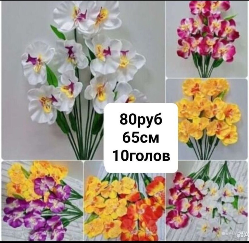https://i.postimg.cc/2S0r5XMK/IMG-20240409-073634.jpg