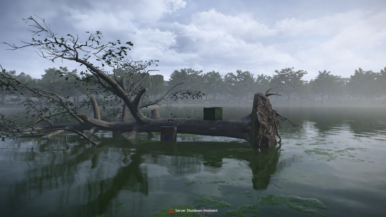 Present #17: the fallen tree