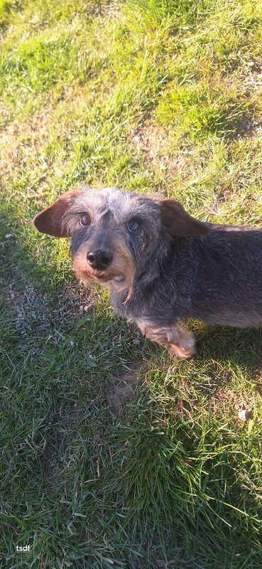 [Image: 20250318-152934.jpg]