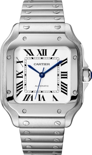 1623172-png-scale-314-high-santos-de-cartier-watch-steel.jpg