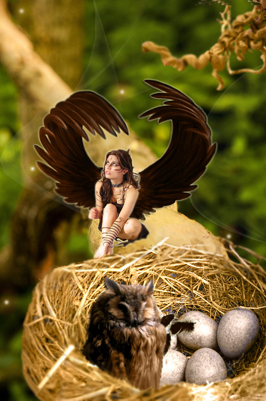 6A6CC672-1ED8-4355-BE50-78D7A41F3988