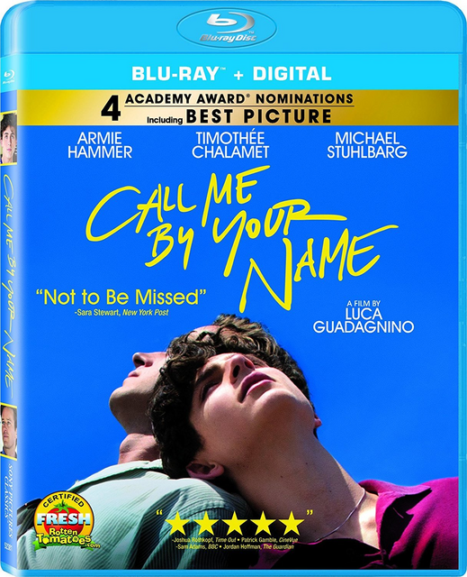  Call Me by Your Name (2017) 480p BluRay Hollywood Movie ORG. [Dual Audio] [Hindi or English] x264 ESubs [450MB] Full Movie Download