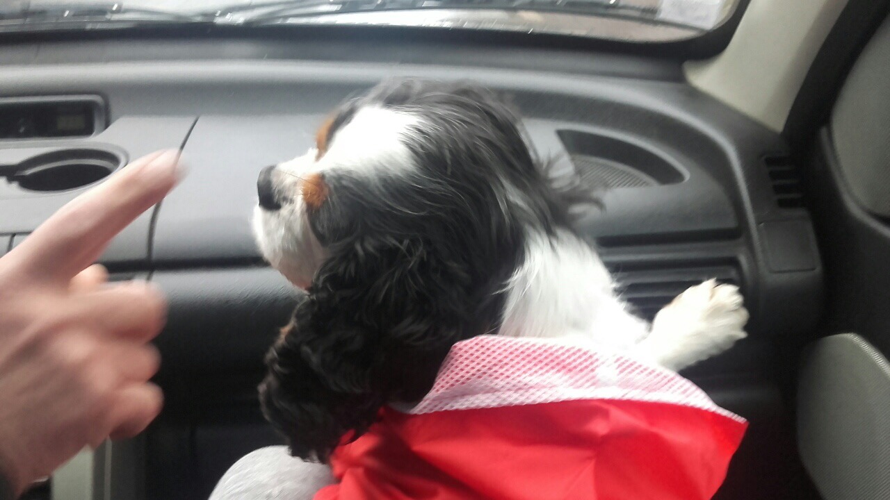 EB73A59A-4A61-4B61-892F-E63467640D96