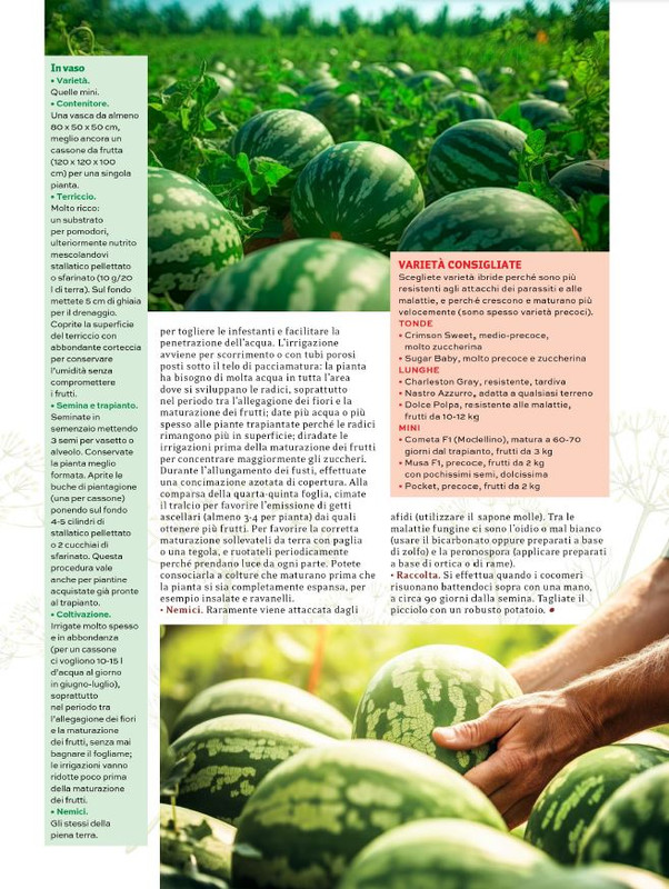 Orto Facile - Il Mio Orto Pratico - Feb-Mar 2024 (6)