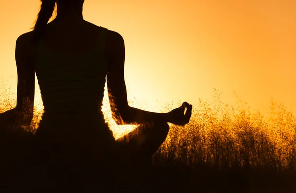 Hindu Yoga Poses