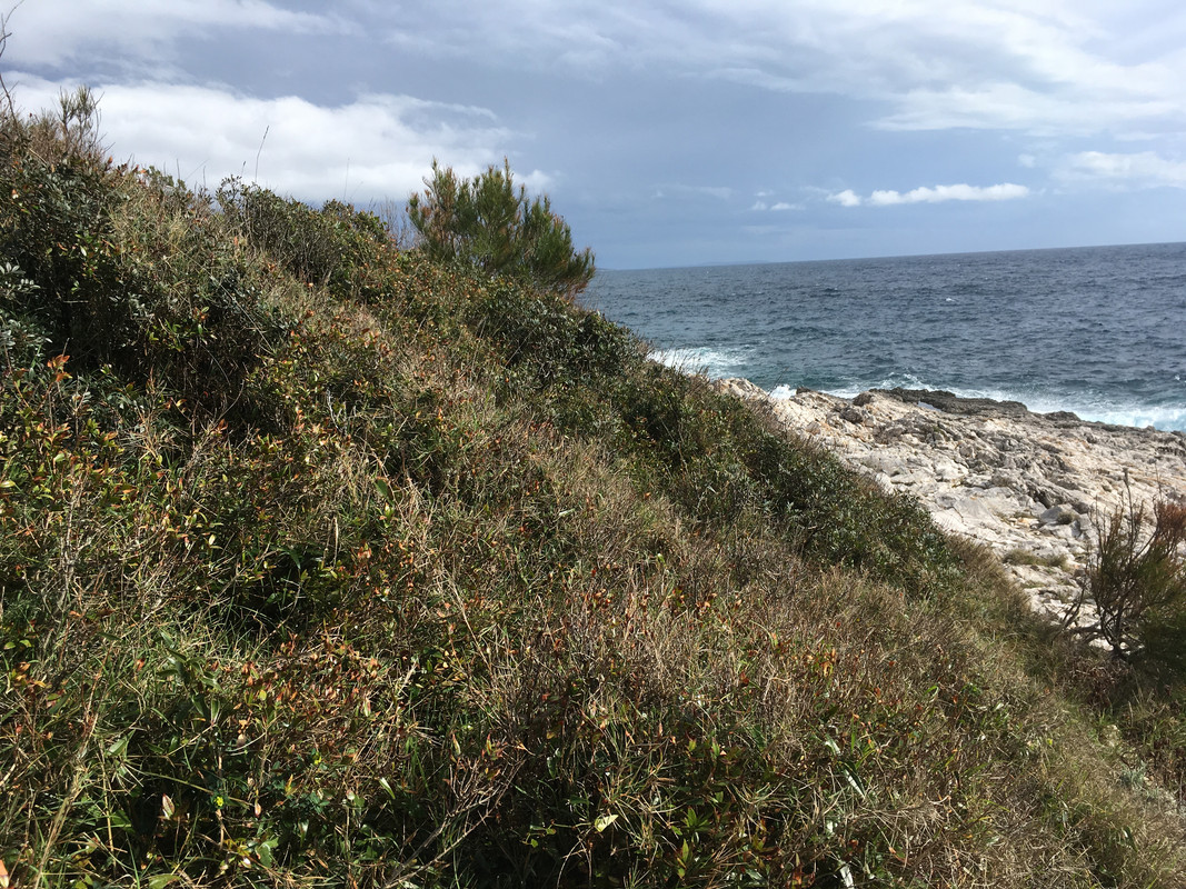 5089F547-9C1F-40B2-A2DF-5F7294E34AA1