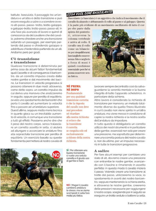 Il Mio Cav (Set 2021) 4